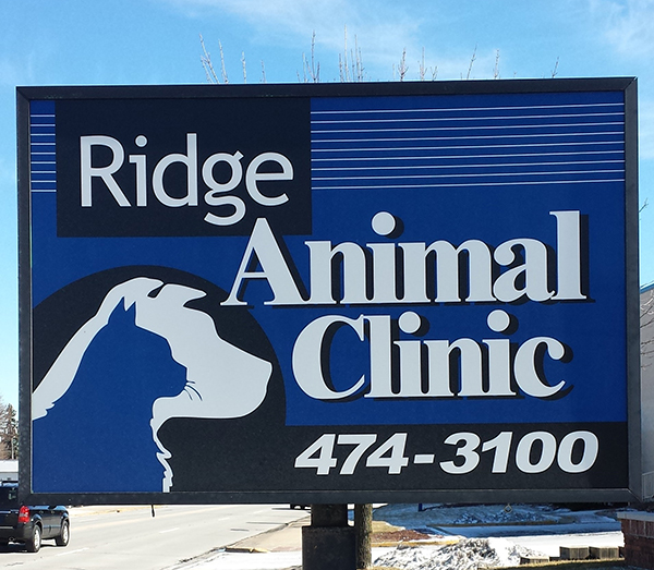 Office Tour | Ridge Animal Clinic